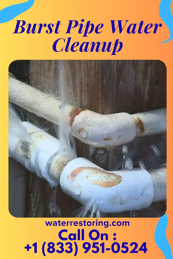 Burst Pipe Water Cleanup in Princeville, NC