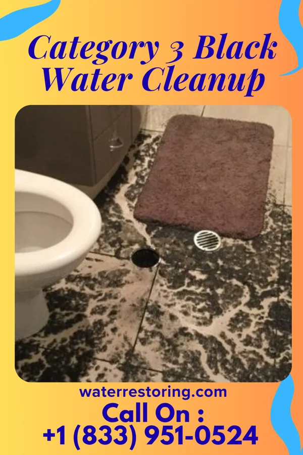 Category 3 Black Water Cleanup in Princeville, NC