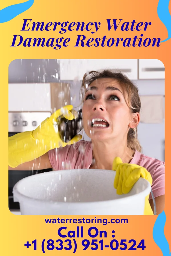 Emergency Water Damage Restoration in Princeville, NC