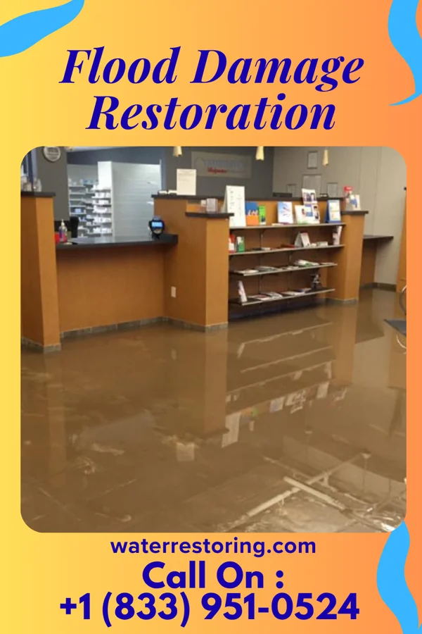 Flood Damage Restoration in Princeville, NC