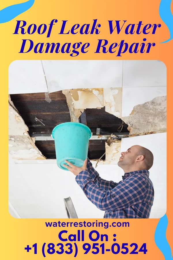 Roof Leak Water Damage Repair in Princeville, NC
