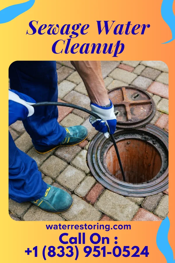 Sewage Water Cleanup in Princeville, NC